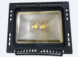 2X60W Project LED Flood Light with CE\Rohsfcc